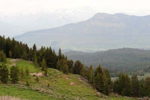 Clark’s Fork Valley, Beartooth Highway, WY. Photo: Talbot Hauffe, Wyoming Department of Transportation