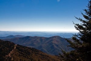 Mount Mitchell State Park, Blue Ridge Parkway, NC. Photo: ©2010 Kolin Toney