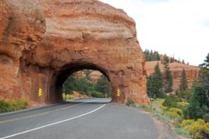 Red Canyon, Scenic Byway 12, UT. Photo: Jessica Dungan