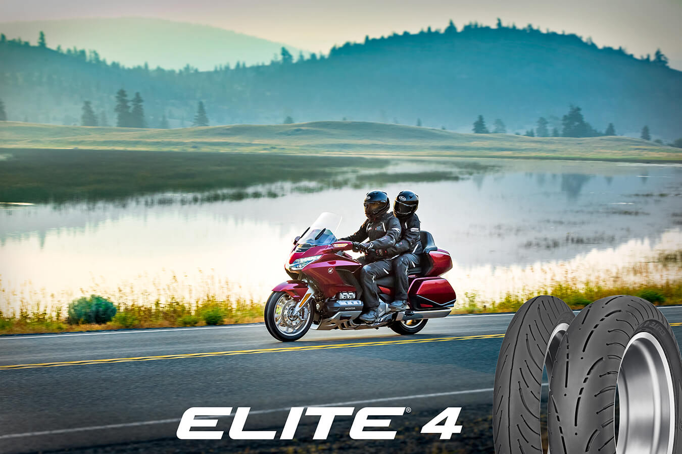 dunlop elite 4 goldwing