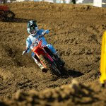 ProMx Gallery (8)